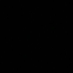 Meet your Posher, Larissa